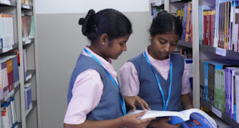 Library 3